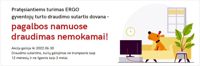 Ergo pagalba namuose