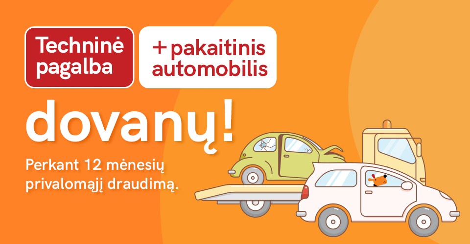 Techninė pagalba